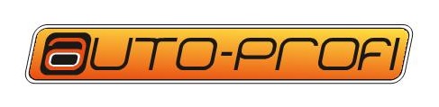 Auto-Profi